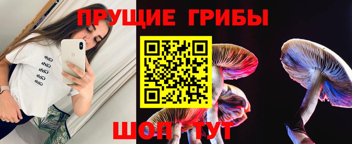 Галлюциногенные грибы Psilocybine cubensis  Вход с VPN  Самара 